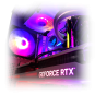 morepic-11