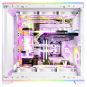 morepic-6